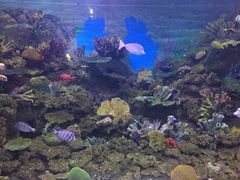 -常州海昌海洋探索馆