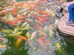 -龙达温泉生态城