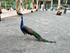 -水上乐园·欢乐世界