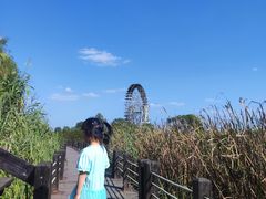 -苏州太湖国家湿地公园