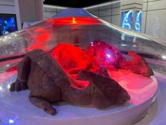 -侏罗纪世界电影特展(广州站)