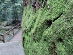 -赤水丹霞旅游区·佛光岩