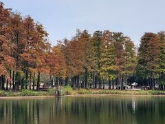 -四海公园(南山区)