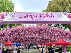 -南汇桃花村