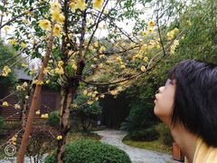 -咸宁万豪温泉谷度假区