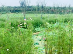 -武汉紫薇都市田园