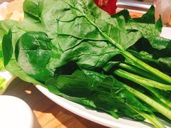 -草原塞蛮羊火锅城(港湾店)