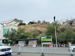 -新疆红山干果市场