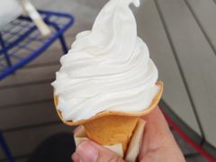 -肯德基(新佛罗伦萨店)