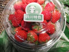 -水果地带(天顺路店)