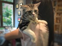 -咖法森林·咖啡  酒吧(天河店)