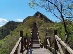 -大岭沟猕猴桃谷风景区
