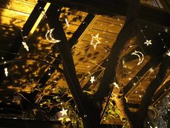 -福建鲤鱼洲酒店