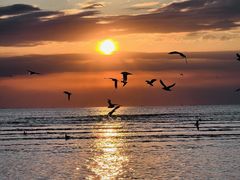 -北戴河转鱼·炒螃蟹酱餐厅