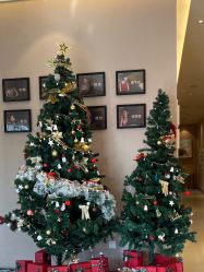 -Yestar杭州艺星医疗美容医院