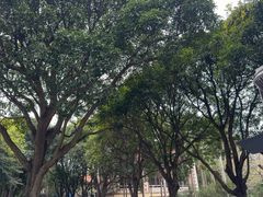 -厦门大学(思明校区)