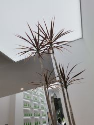 -麦田造型 Hair Salon