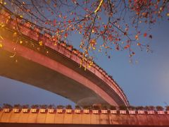 -菩凡足疗养生(No.3 小河万科店)