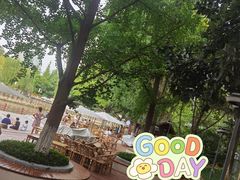-成都市活水公园