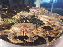 -必点海鲜·鲅鱼水饺(鞍山西道店)