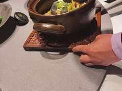 -子福慧(虹桥店)