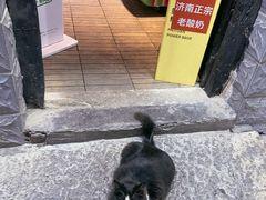 -老济南民间小吃·传统鲁菜(芙蓉街店)