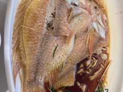 -华盛丰温州大排档(东三环南路店)