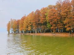 -四明湖