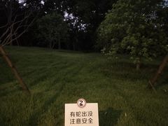 -牛岗山公园