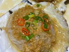 -小海丁