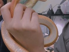 -藦茜花园宠物主题亲子互动体验馆(国顺东路店)