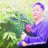 成都探店｜吃完就能让你念念不忘的柴火鸡❓心动了不！