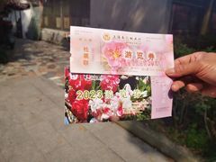 -南汇桃花村