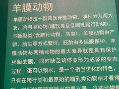 -正佳自然科学博物馆