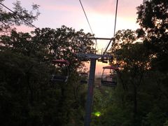 -青岛中山公园-索道售票处