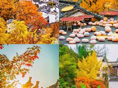 -篁岭景区