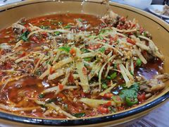 仔姜茄猫儿-飞虹鱼馆(春华路店)