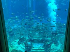 -亚龙湾海底世界