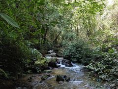 -莫里热带雨林景区