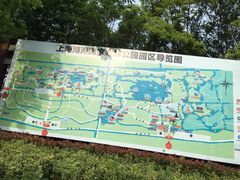 -上海海湾国家森林公园