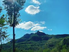 -天鹅湖生态旅游风景区