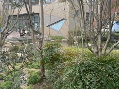 -活水公园