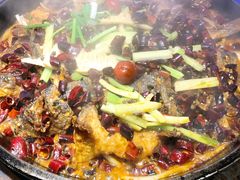 老板恋上鱼-老板恋上鱼(恒隆广场店)