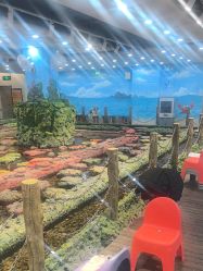 -钓虾工场·钓虾·赶海(回龙观店)