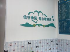 -守诺宠物医院·眼科· 特色牙科·异宠专科(虹口店)