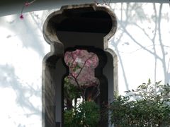 -秋霞圃