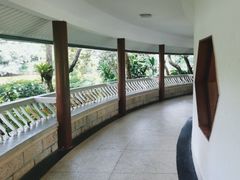 -深圳仙湖植物园