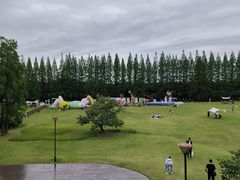 -黄海国家森林公园
