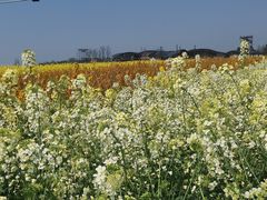 -中国天府农业博览园