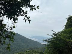 -梧桐山风景名胜区